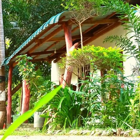 Sigiri Picaso Home Stay Sigiriya Dış mekan fotoğraf