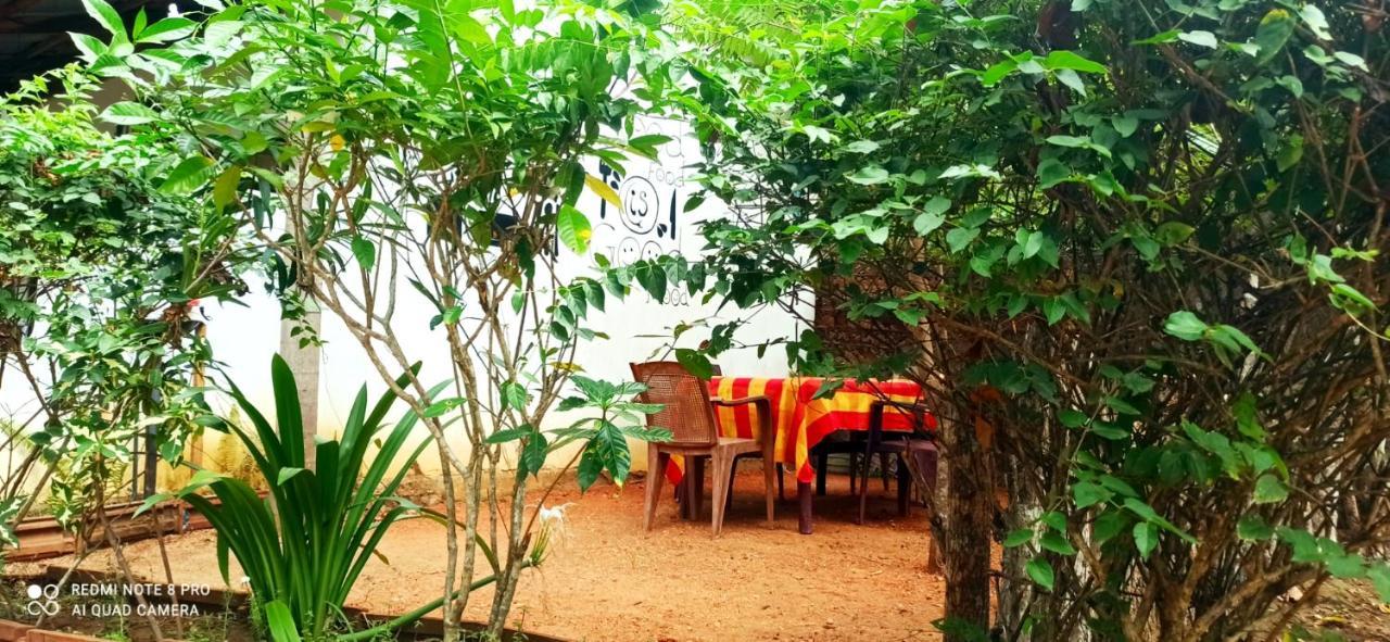 Sigiri Picaso Home Stay Sigiriya Dış mekan fotoğraf