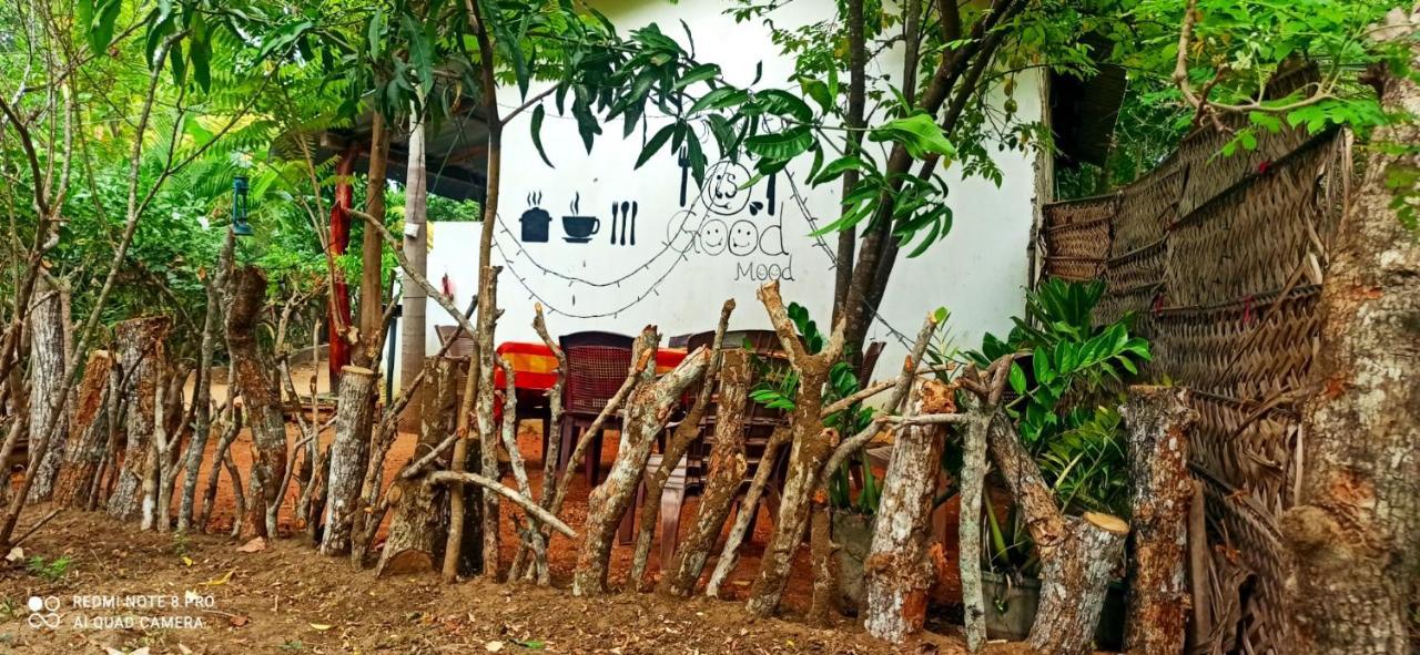 Sigiri Picaso Home Stay Sigiriya Dış mekan fotoğraf