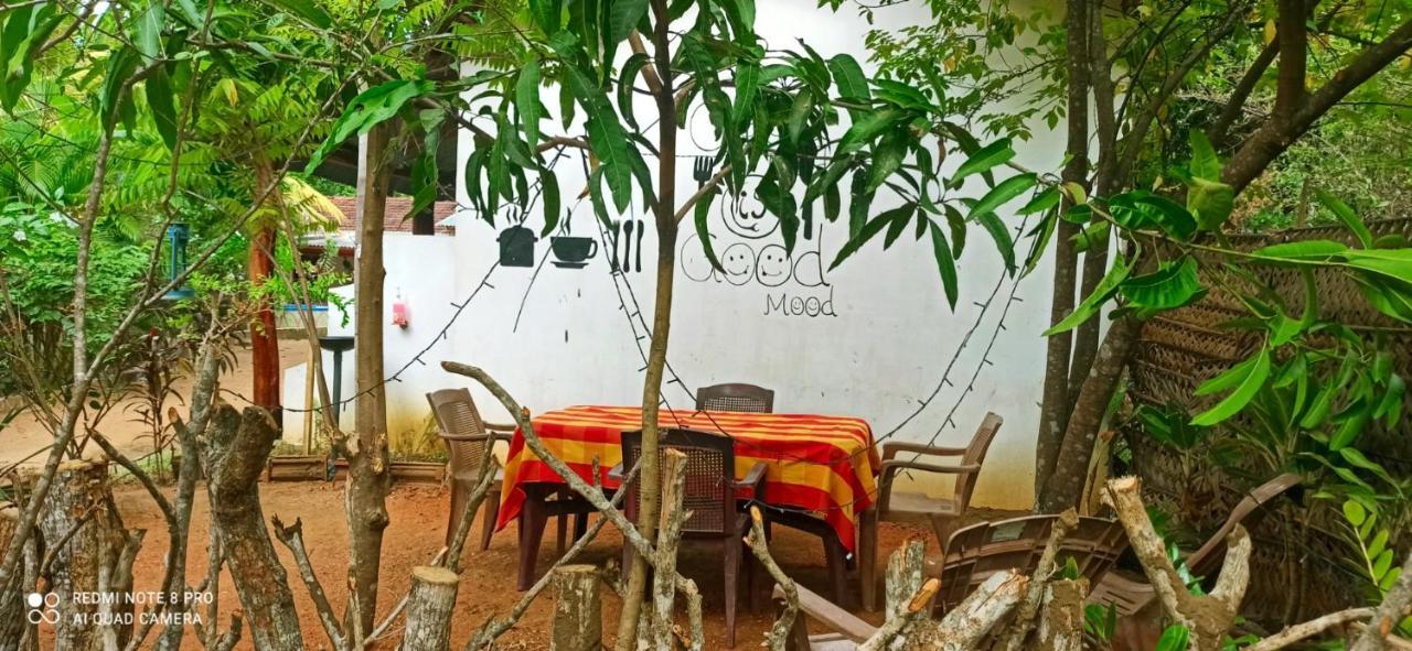 Sigiri Picaso Home Stay Sigiriya Dış mekan fotoğraf