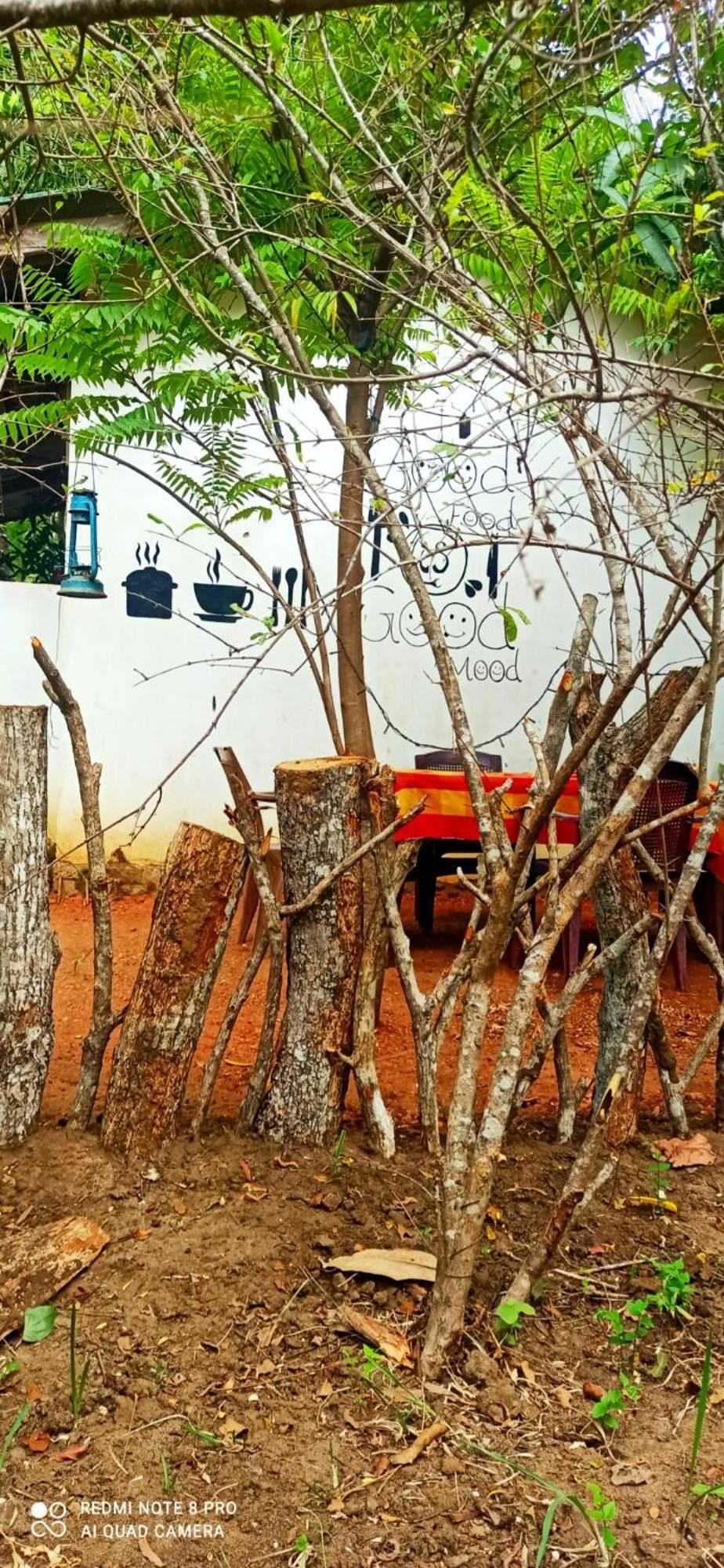 Sigiri Picaso Home Stay Sigiriya Dış mekan fotoğraf