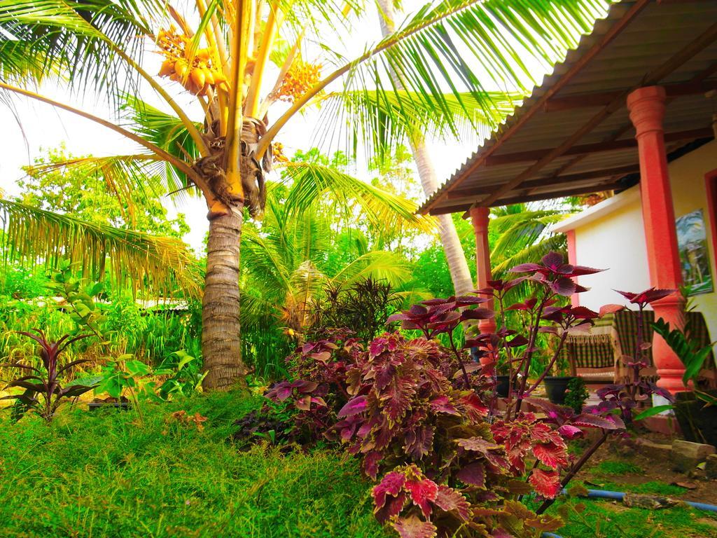 Sigiri Picaso Home Stay Sigiriya Dış mekan fotoğraf