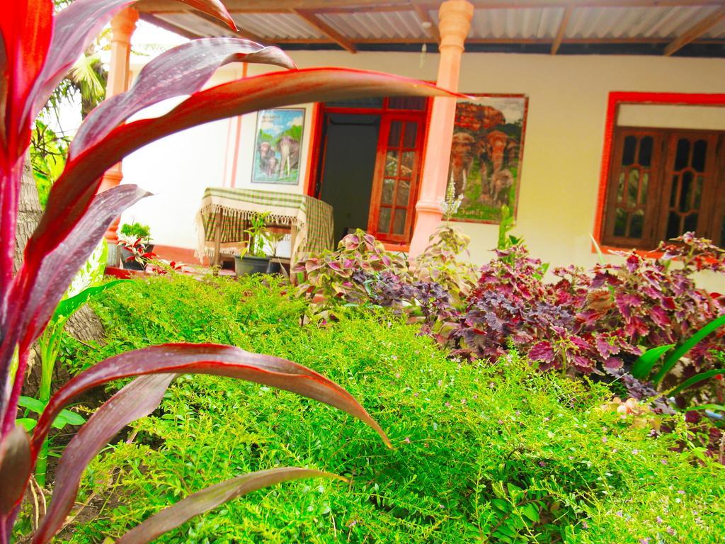 Sigiri Picaso Home Stay Sigiriya Dış mekan fotoğraf