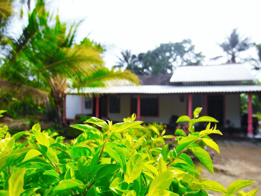 Sigiri Picaso Home Stay Sigiriya Dış mekan fotoğraf