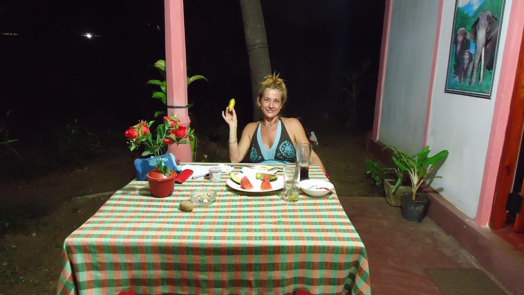 Sigiri Picaso Home Stay Sigiriya Dış mekan fotoğraf