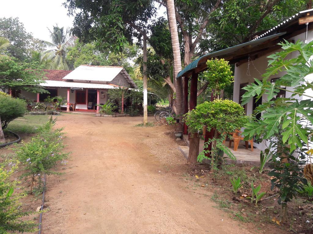 Sigiri Picaso Home Stay Sigiriya Dış mekan fotoğraf