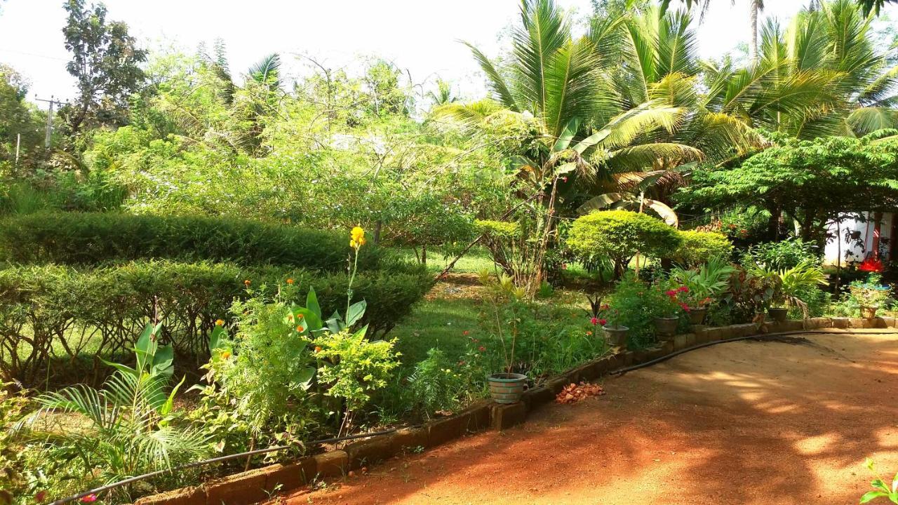 Sigiri Picaso Home Stay Sigiriya Dış mekan fotoğraf