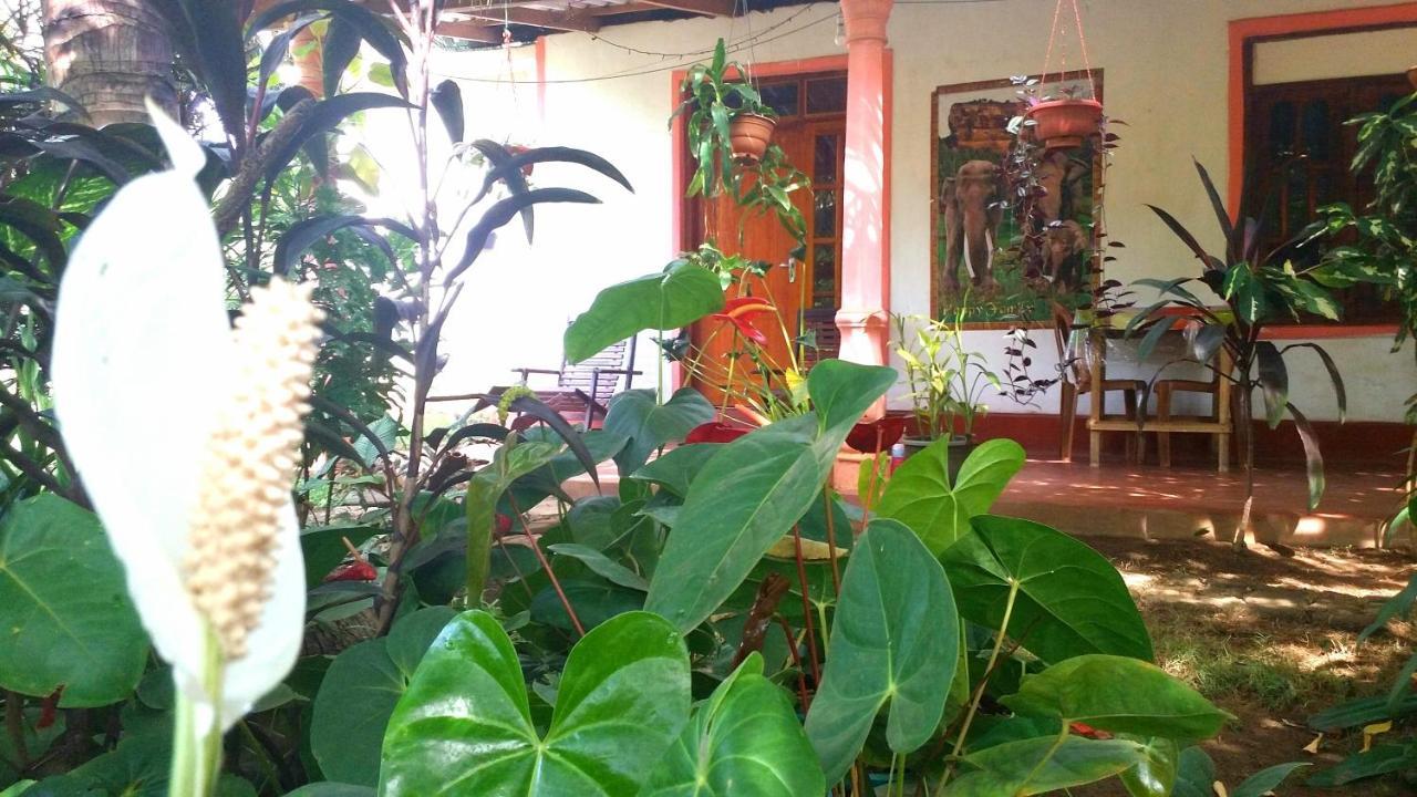Sigiri Picaso Home Stay Sigiriya Dış mekan fotoğraf