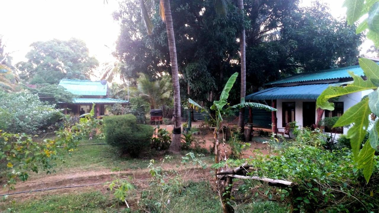 Sigiri Picaso Home Stay Sigiriya Dış mekan fotoğraf