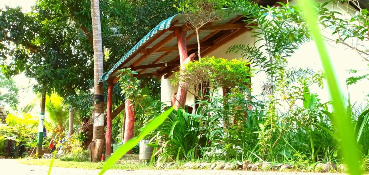 Sigiri Picaso Home Stay Sigiriya Dış mekan fotoğraf