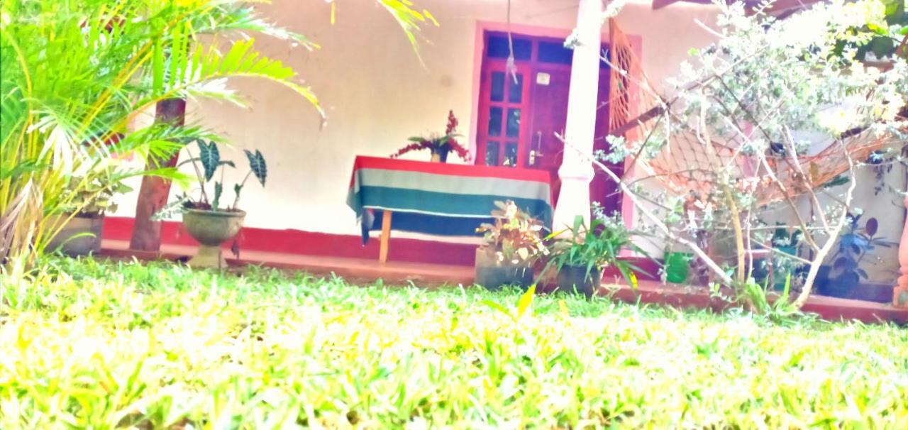 Sigiri Picaso Home Stay Sigiriya Dış mekan fotoğraf