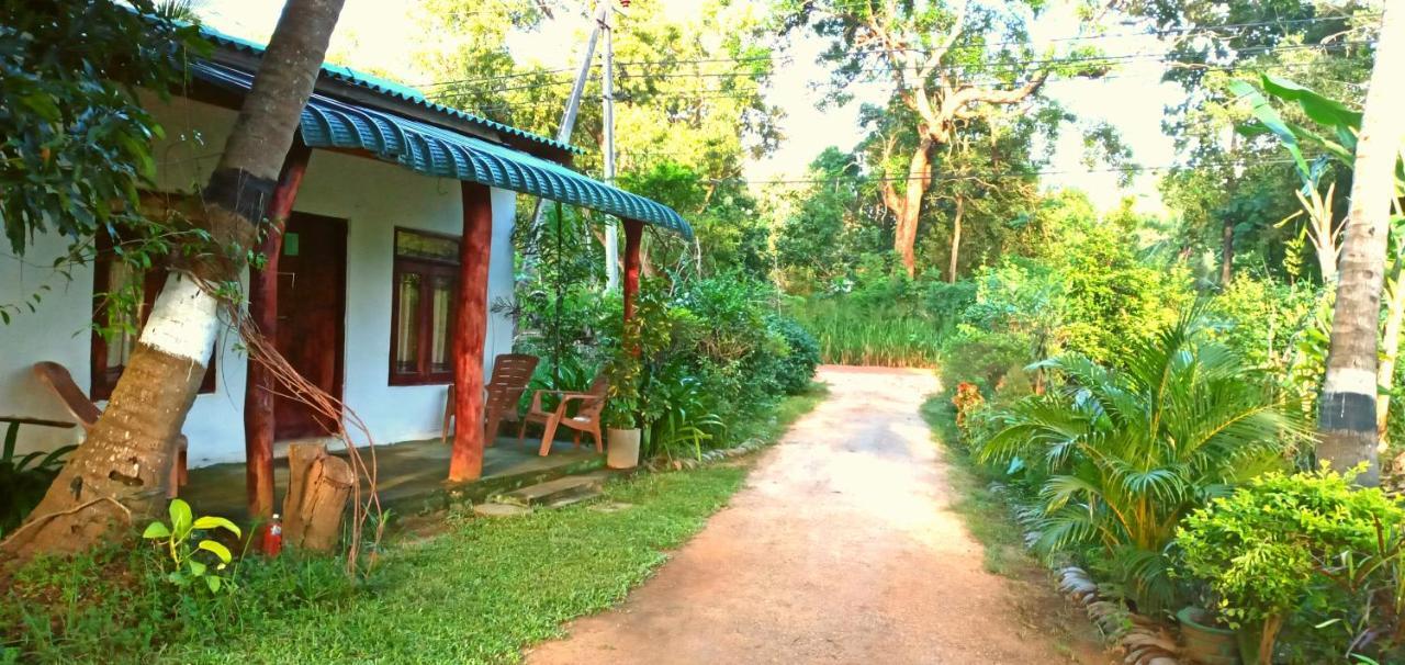 Sigiri Picaso Home Stay Sigiriya Dış mekan fotoğraf